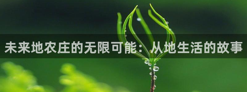 九游会j