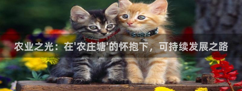 九游会ag群聊