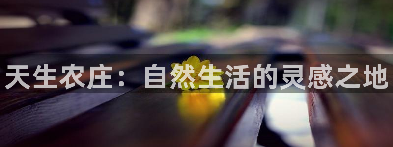 九游会可靠吗