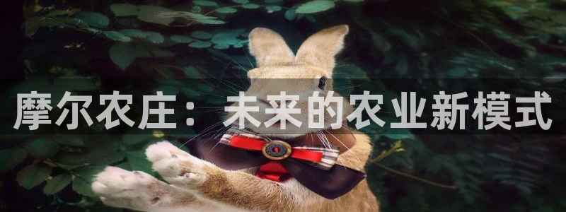 九游会AG集团总部