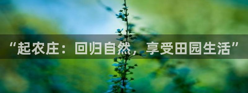 九游会j9手机旗舰