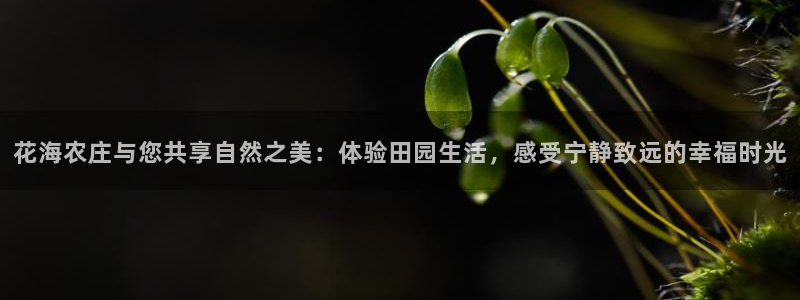 九游平台会封号吗