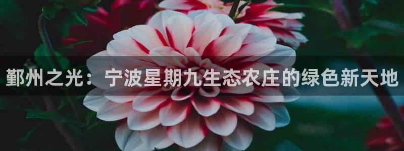 香港九游会