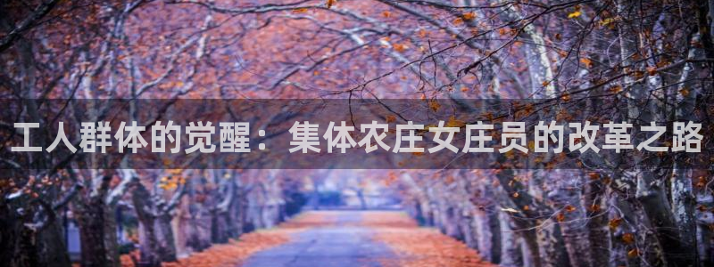 九游会真人第一品牌游戏