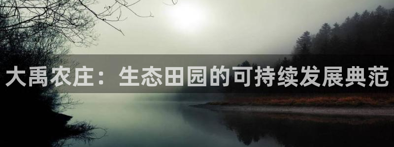 网赌九游会