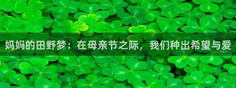 九游会ag正版app