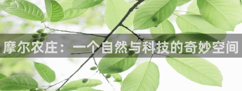 九游会j9备用网址