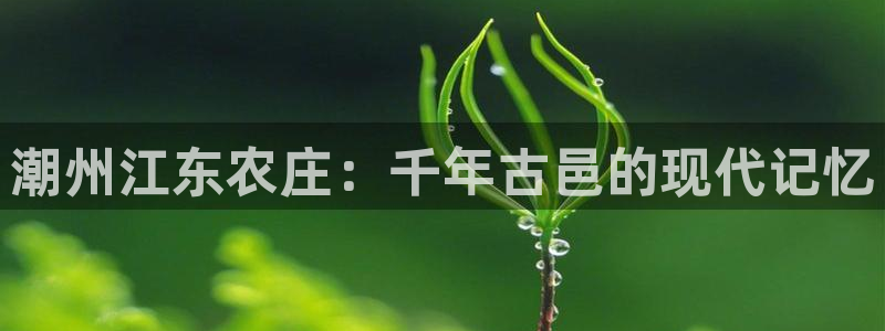 九游会老哥论坛
