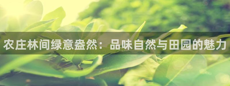 九游会平台如何