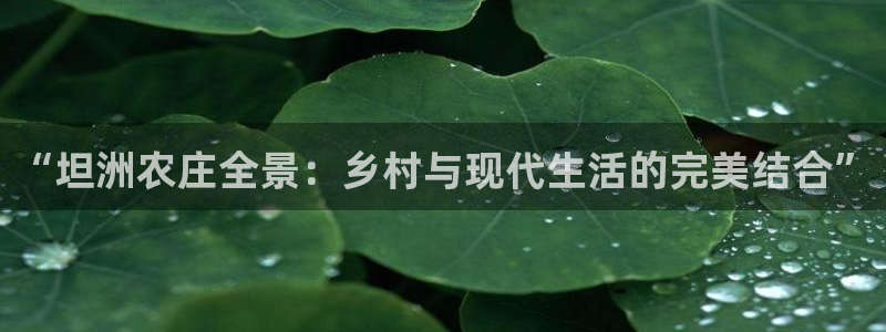九游会平台游戏