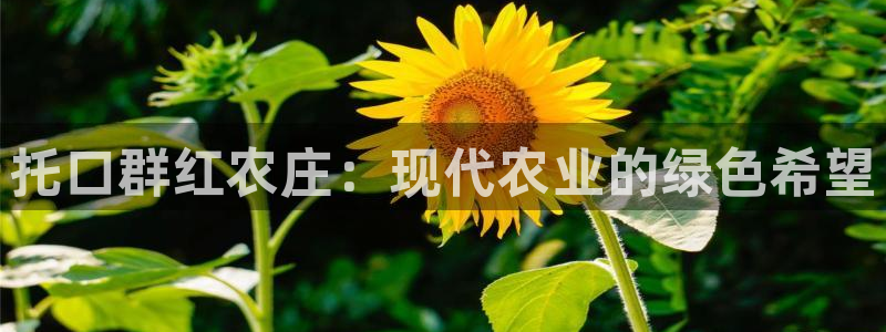 九游会官方