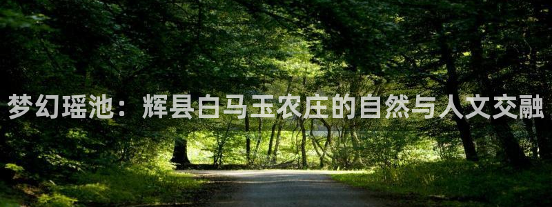 九游游戏会