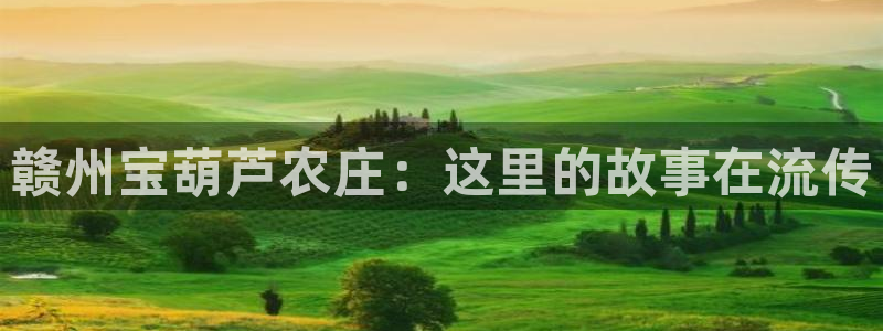 九游会官方登录网站下载
