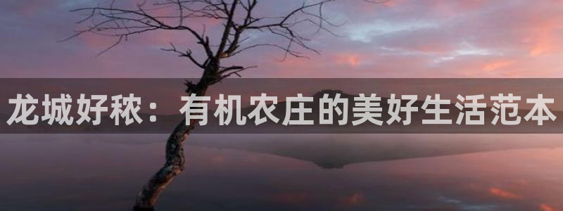 九游会棋牌牌