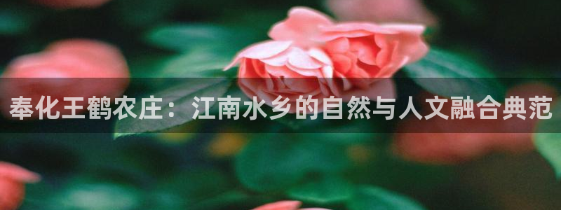 九游会全站