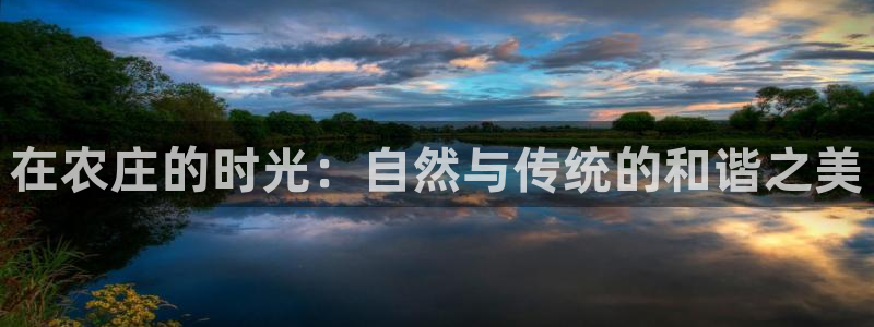 j9九游会公司