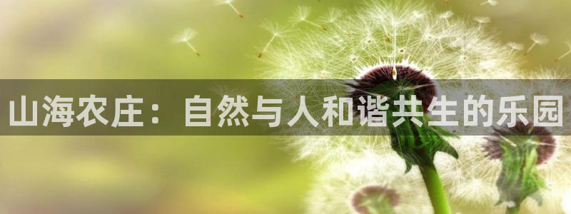 9九游会网站