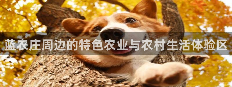 j9九游会ag