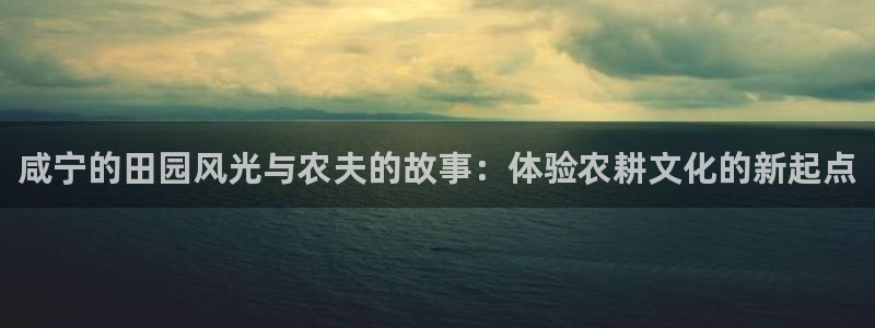 九游会游戏官网网页版