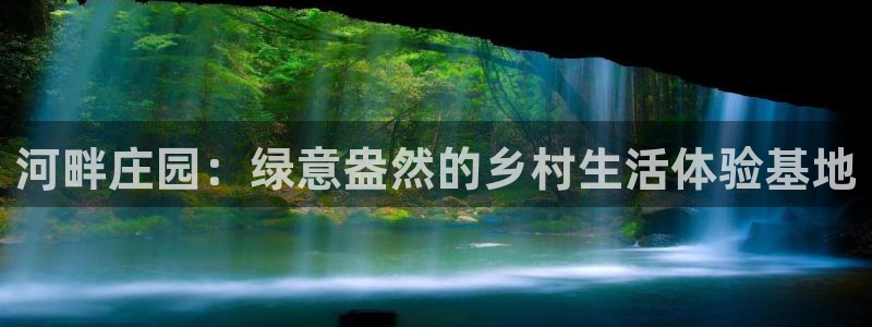 九游会平台app