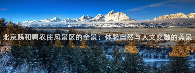 九游会怎么打不开了