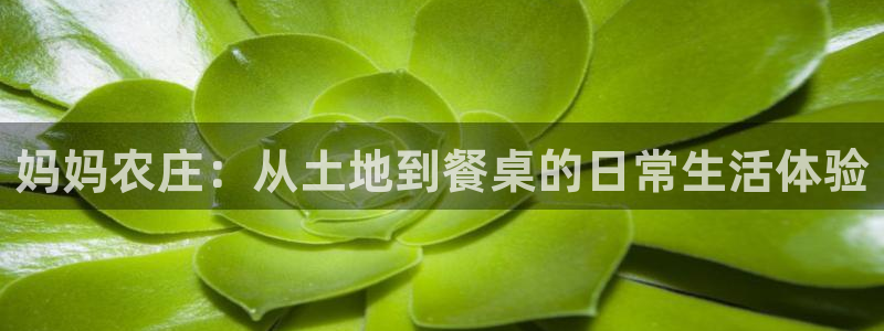 九游会倒闭了吗