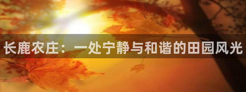 九游会亚洲官网