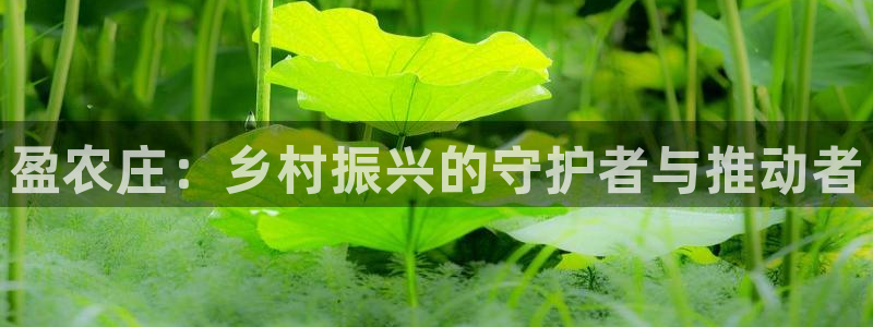 九游ag九游会
