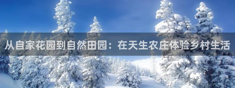 九游会 网址
