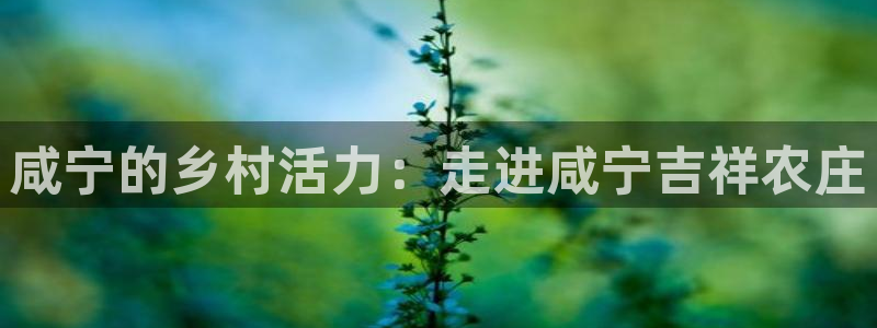 九游会官网直营