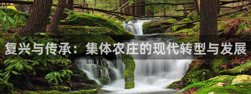 九游会官网在线登录