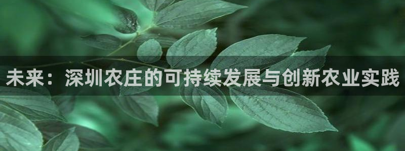 九游会官网入口