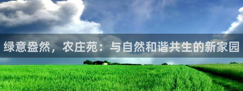 九游光遇会