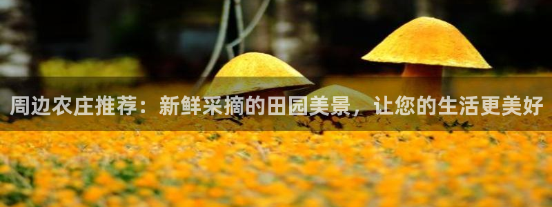 ag九游会网址永不