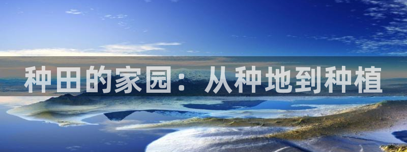 九游会百家号