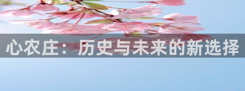 九游游乐会