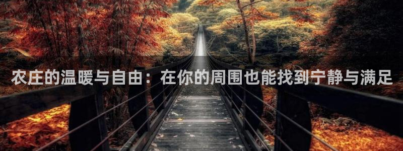 九游会和尊龙