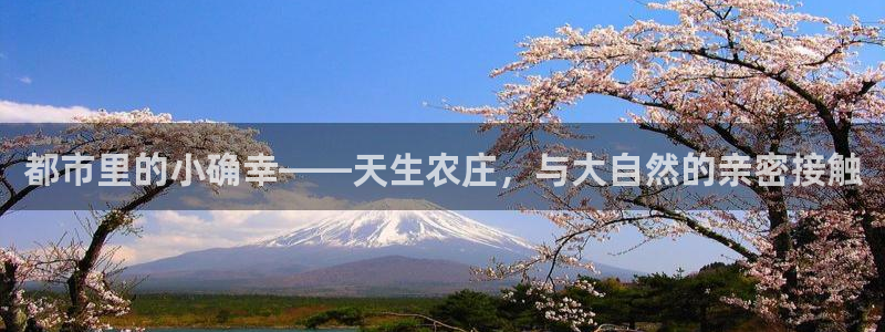 九游会登录不了游戏吗