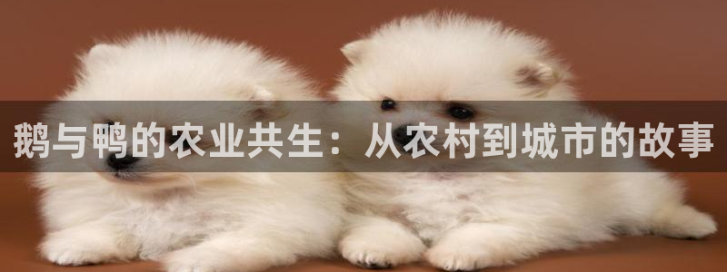 九游会倒闭