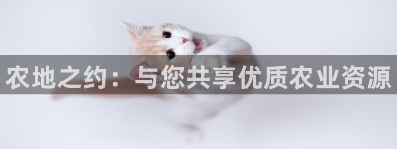 jg九游会
