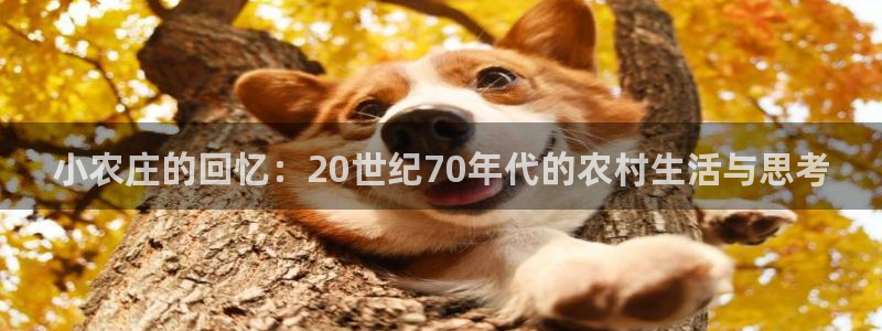 j9九游会数字站