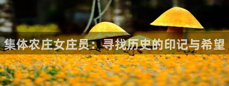 九游会官网贴吧下载安装
