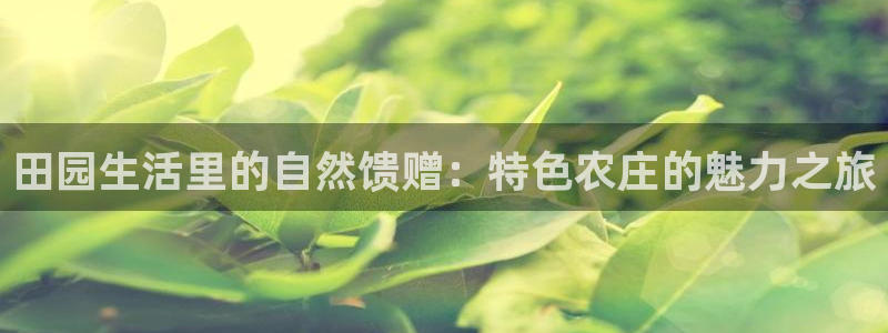 九游会网址最新地址