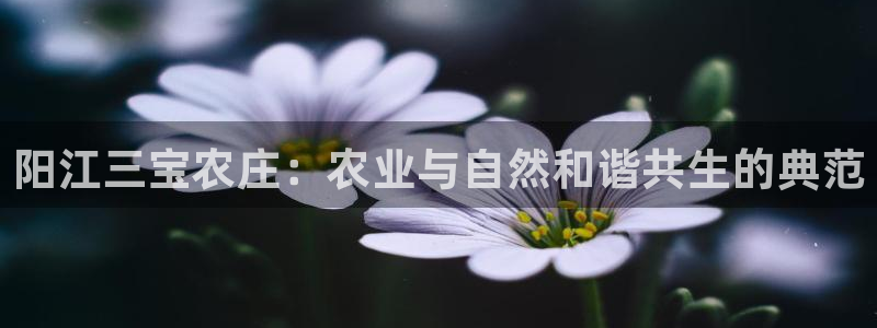 九游会ag正版app