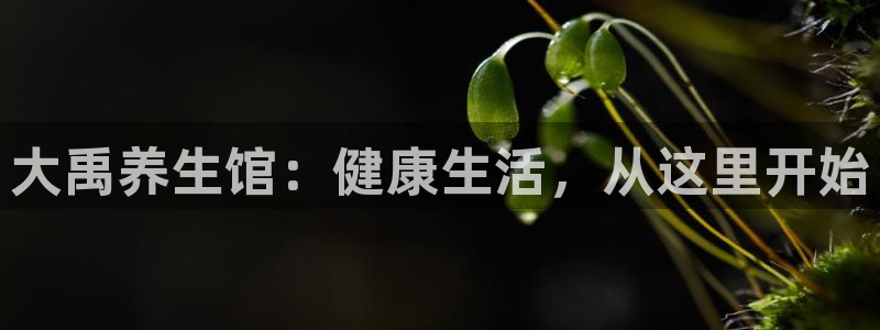 九游会登录平台