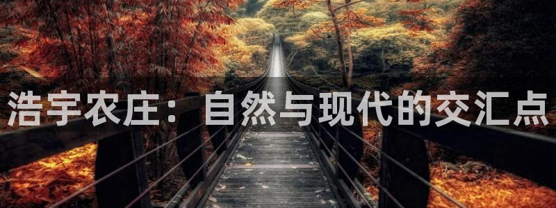 九游会j9不出款