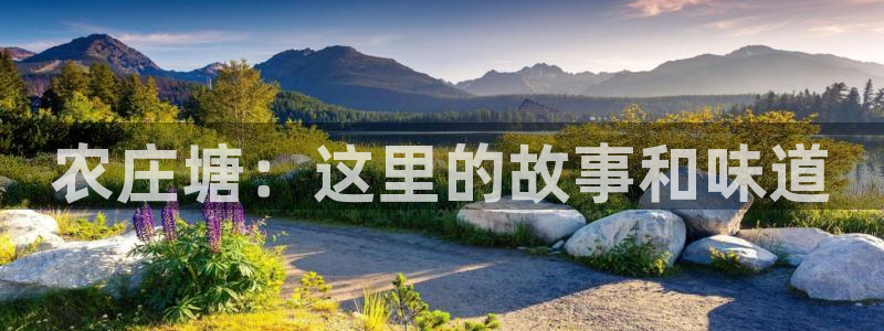 九游会赌钱