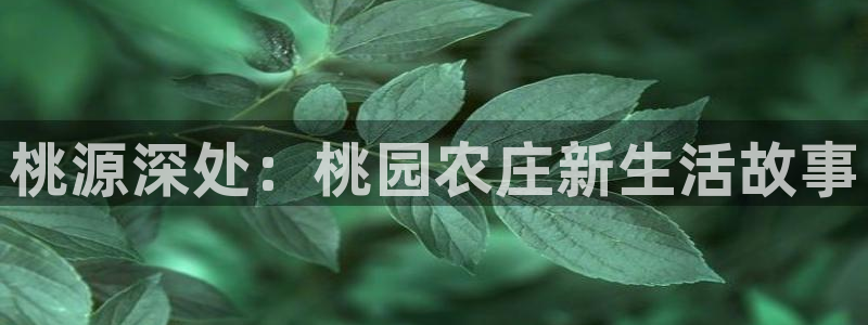 老哥吧九游会