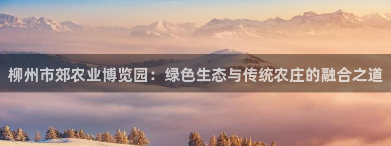 j9九游会登入口