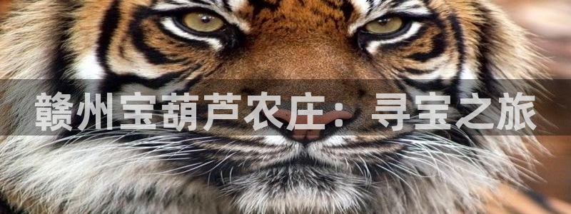 九游会体育官网